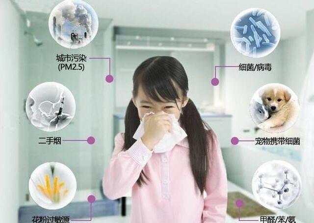 上海環境檢測咨詢服務有限公司