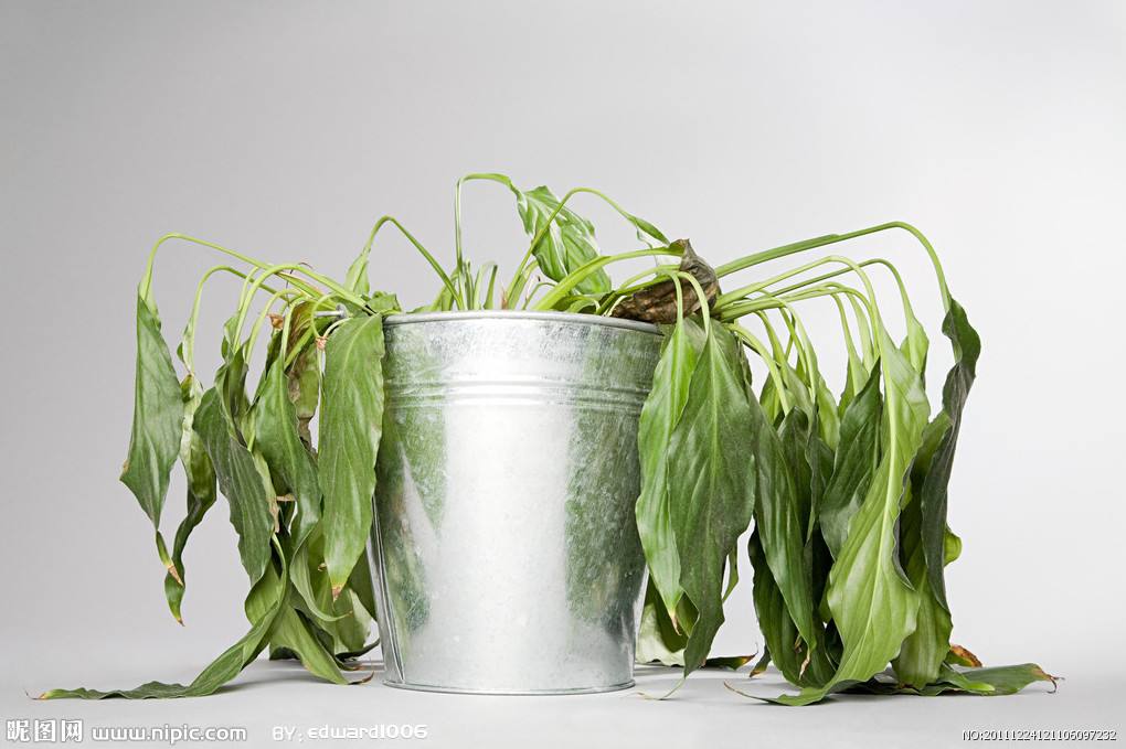 上海怎么做甲醛檢測?——艾克瑞爾 上海怎么做甲醛檢測?——艾克瑞爾