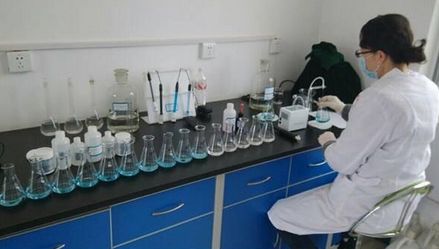 上海環(huán)境檢測咨詢服務有限公司 上海環(huán)境檢測咨詢服務有限公司