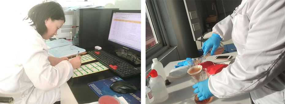 上海環境檢測咨詢服務有限公司